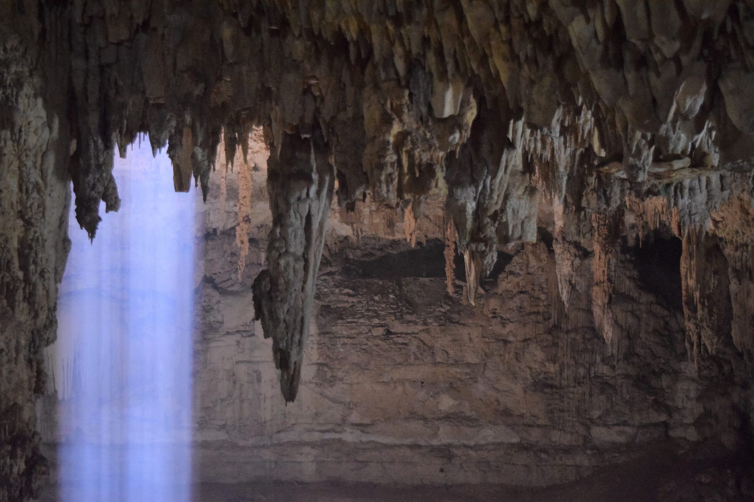 Los Mejores Cenotes En Tulum Para Visitar Este