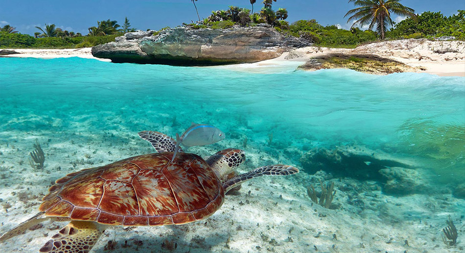 Verano en Tulum