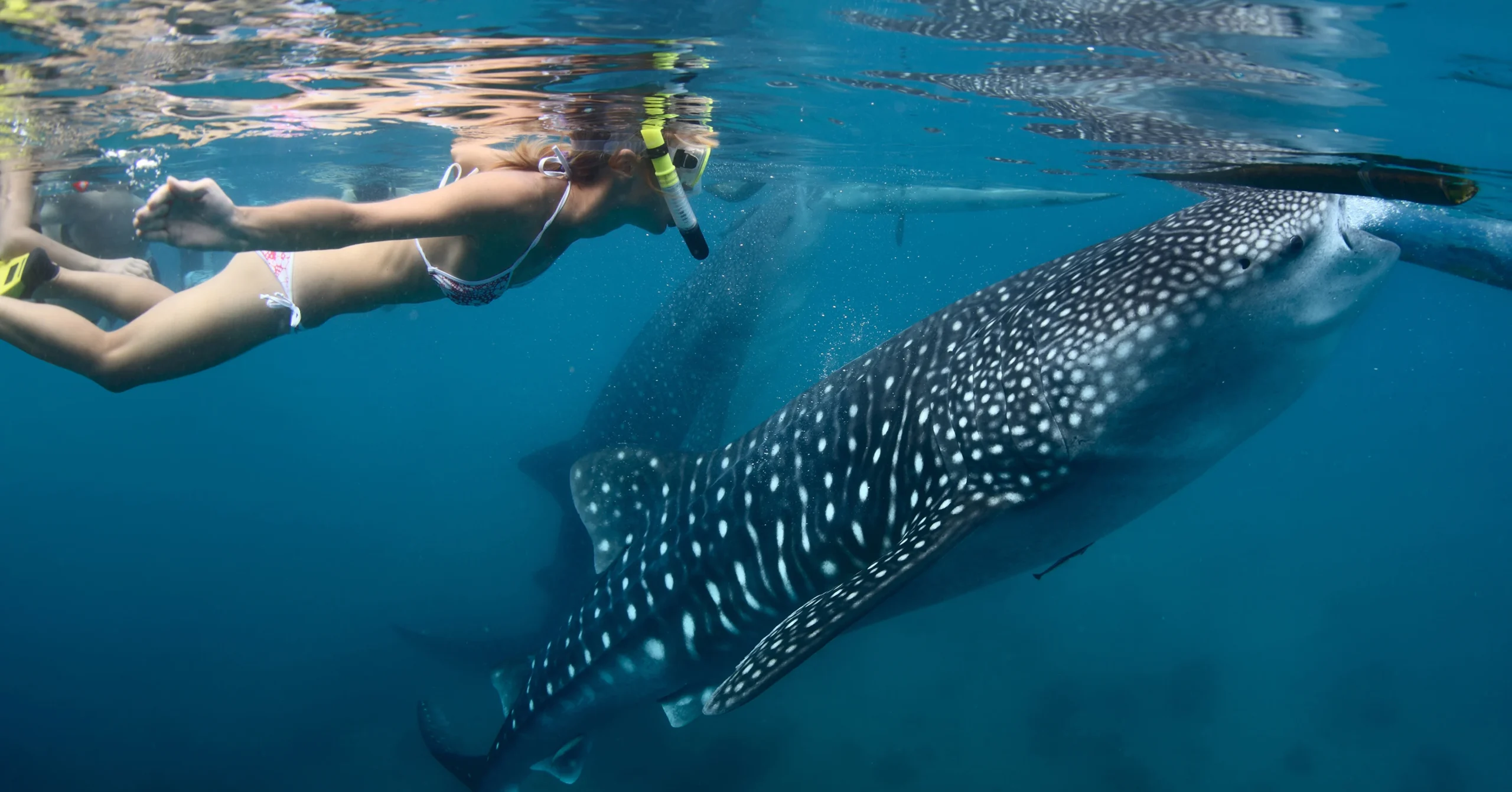 Visita Quintana Roo