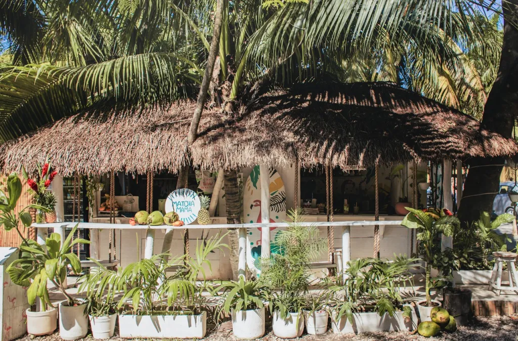 Restaurantes Veganos en Tulum