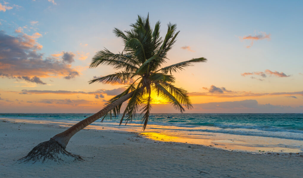 Riviera maya en la Trump Era