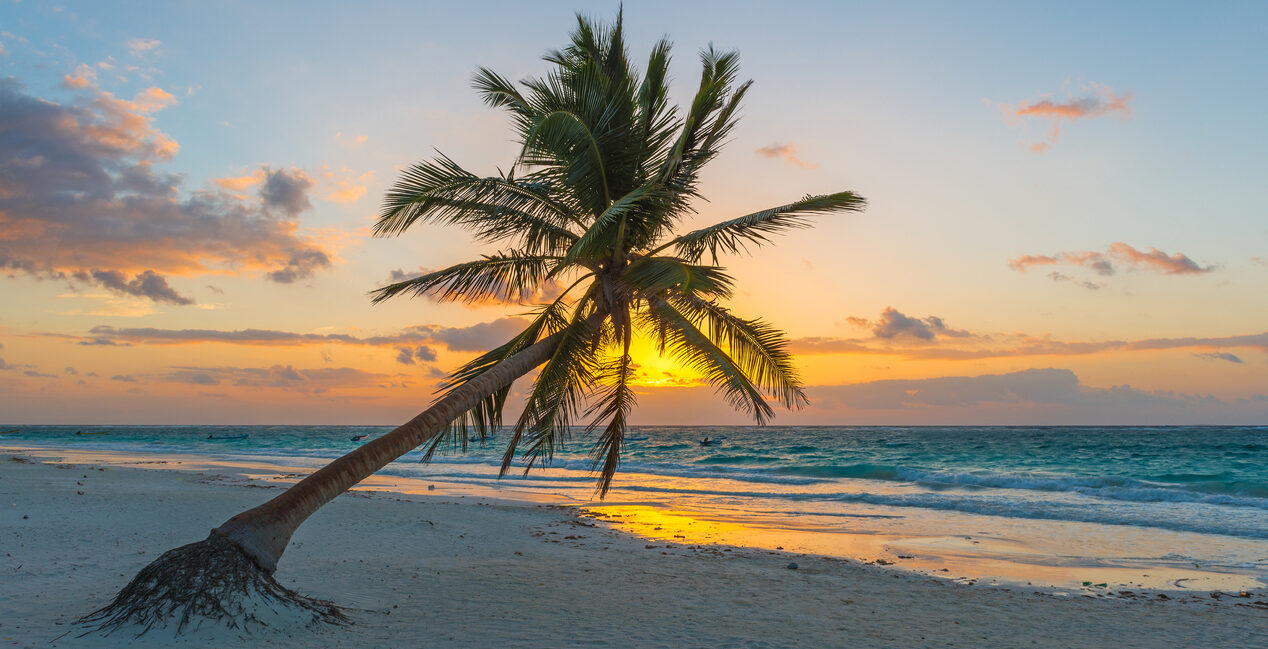 Riviera maya en la Trump Era