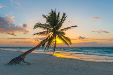 Riviera maya en la Trump Era